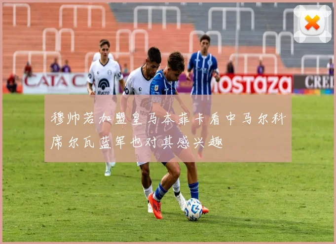 穆帅若加盟皇马本菲卡看中马尔科席尔瓦蓝军也对其感兴趣